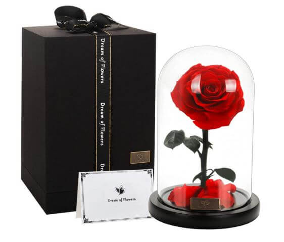 valentines day rose beauty and the beast