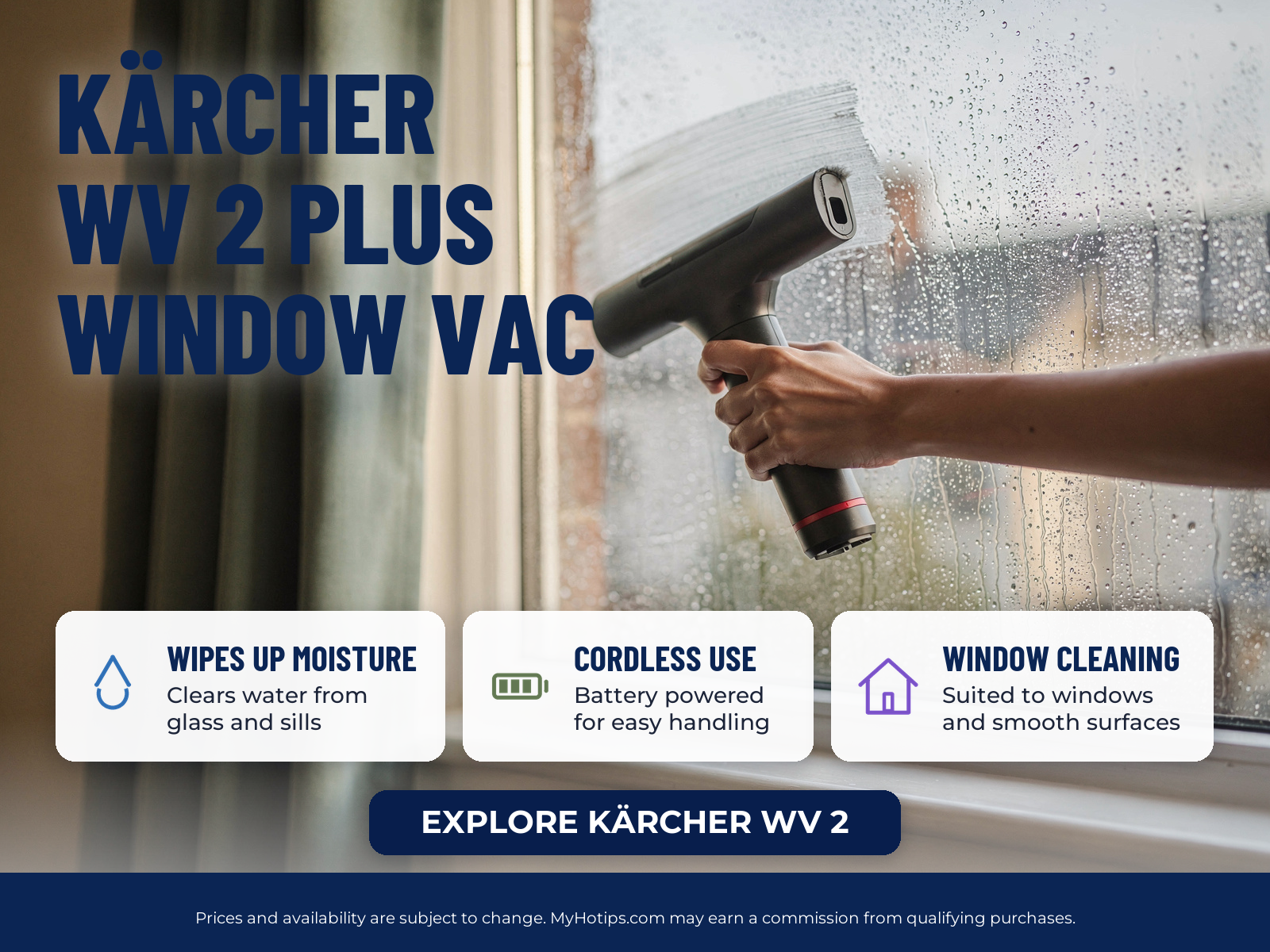 Kärcher WV 2 Plus Window Vac