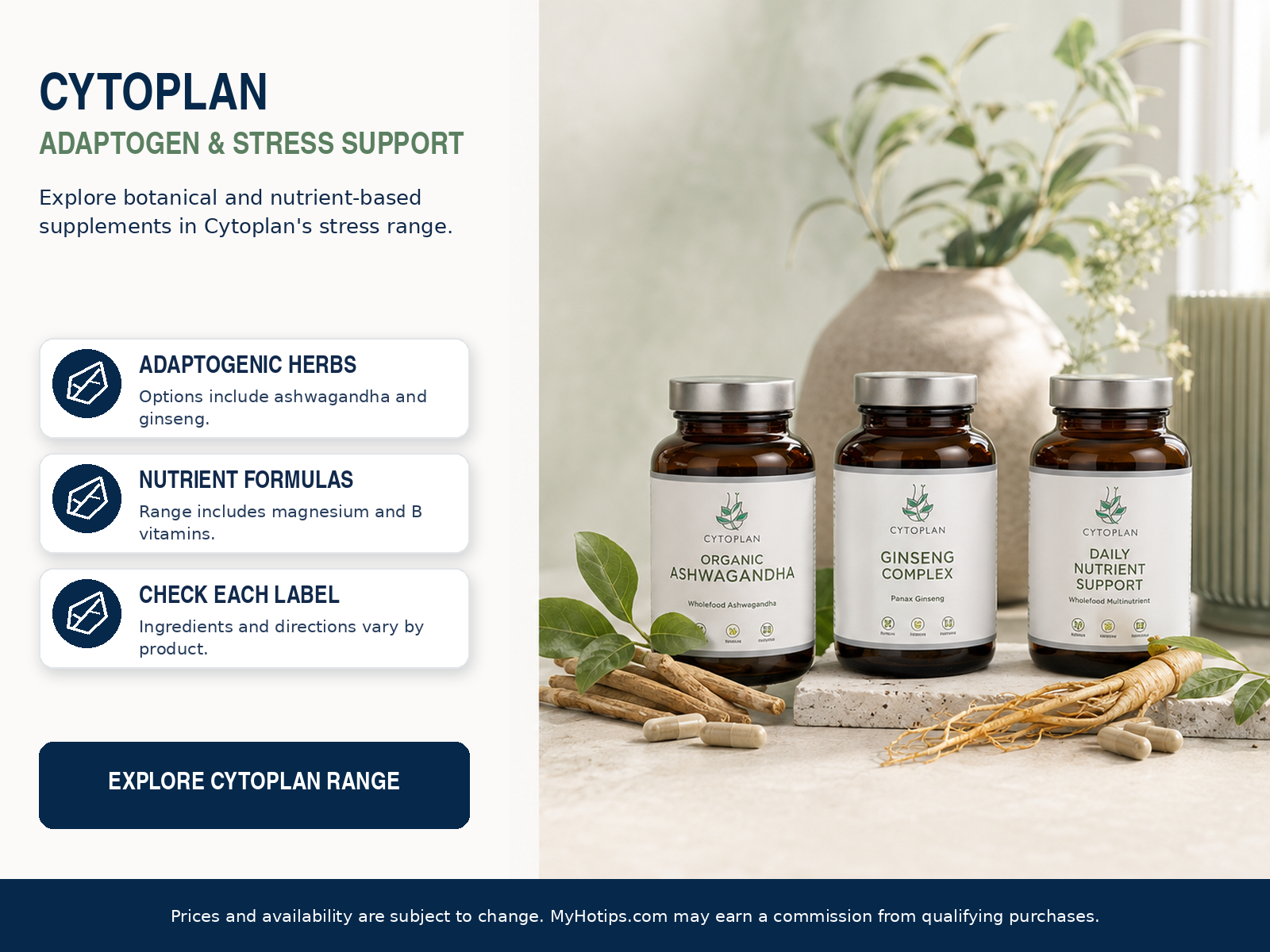 Adaptogen Support Options