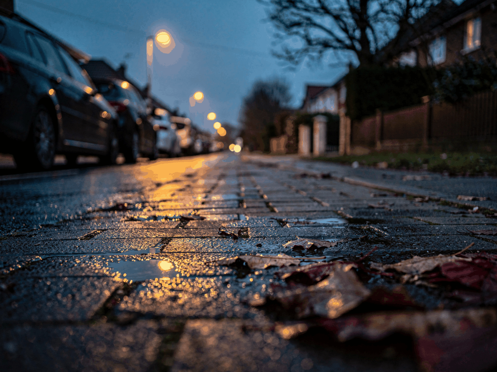 A pavement beside a lit residential road at dusk, wet from recent rain, with streetlights reflecting on the ground and a few parked cars.