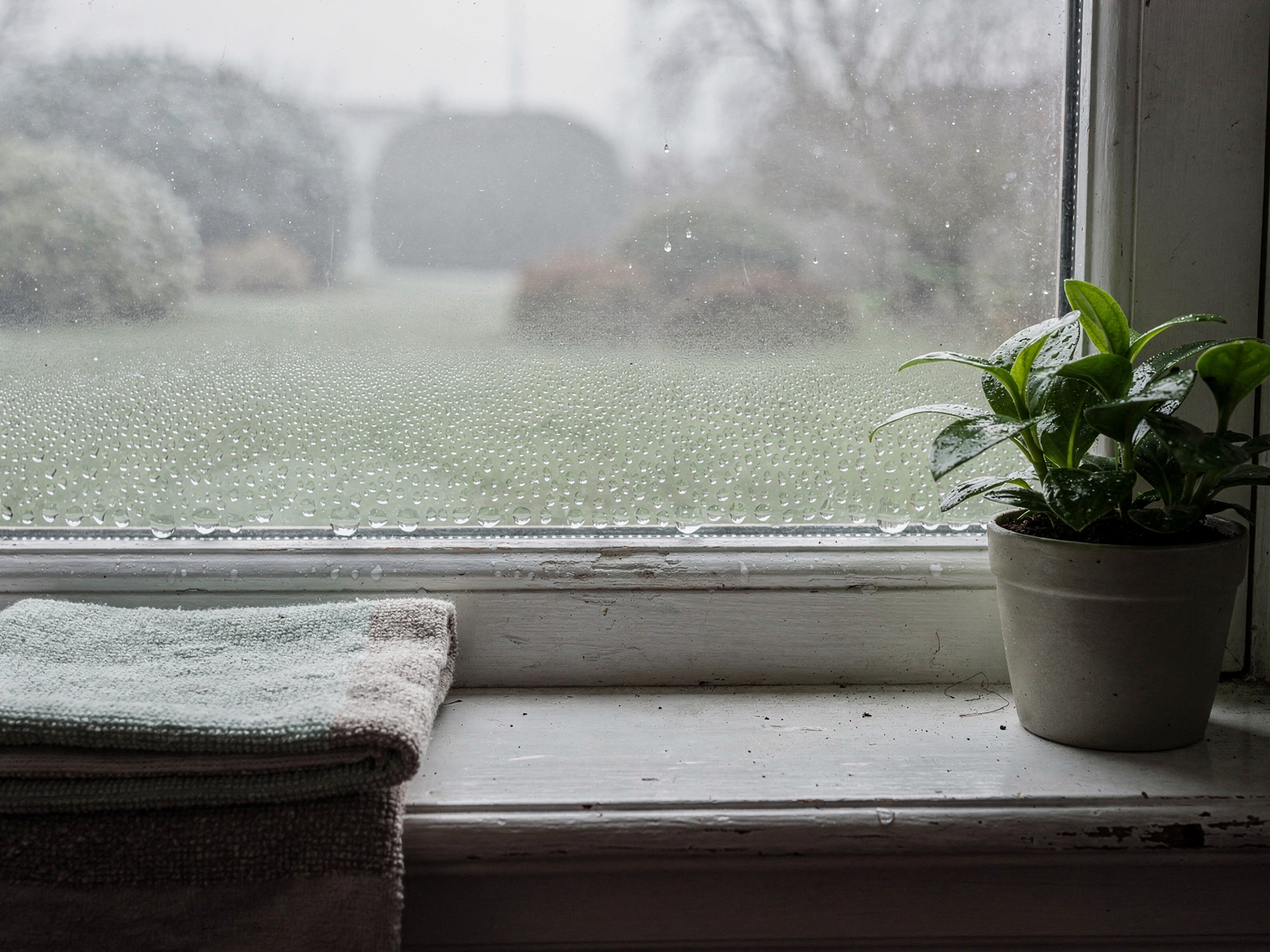 A window pane with light condensation along the bottom edge on a cold morning, a cloth resting on the sill beside it.