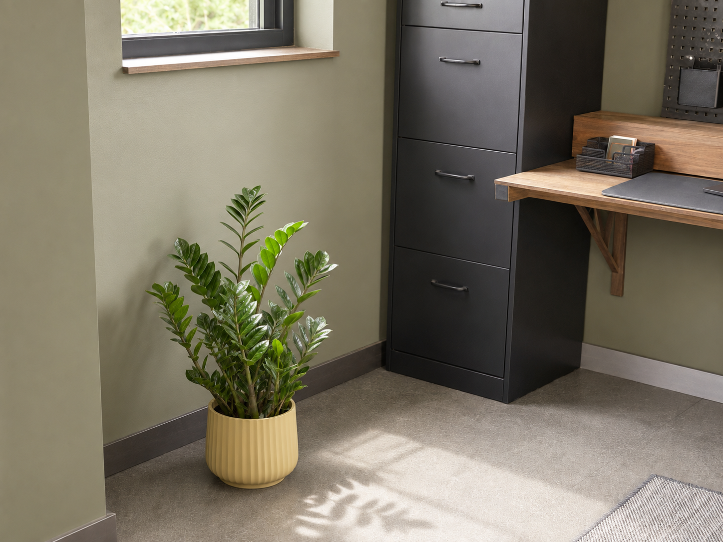 Zz Plant Elho Office